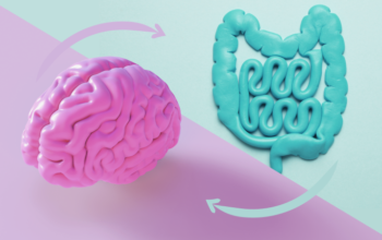 ADHD and Digestive Issues: Understanding the Gut-Brain Connection and Finding Relief